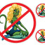 No Lot Lizards Decal